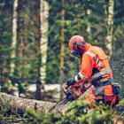 Corrente Husqvarna X-CUT C33 .325´ 050´/1.3 mm - ELO